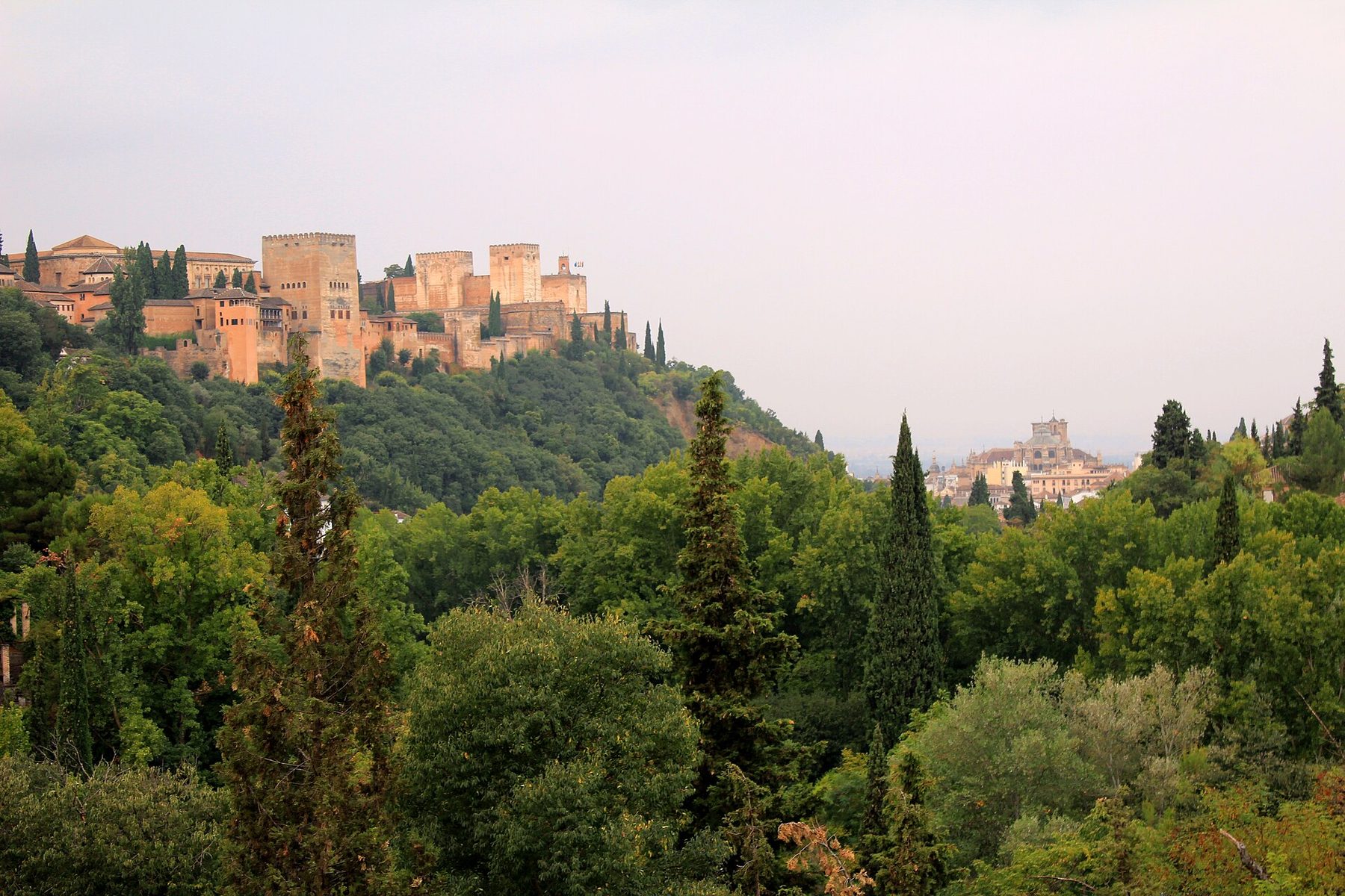 Bosque de la Alhambra en otoño