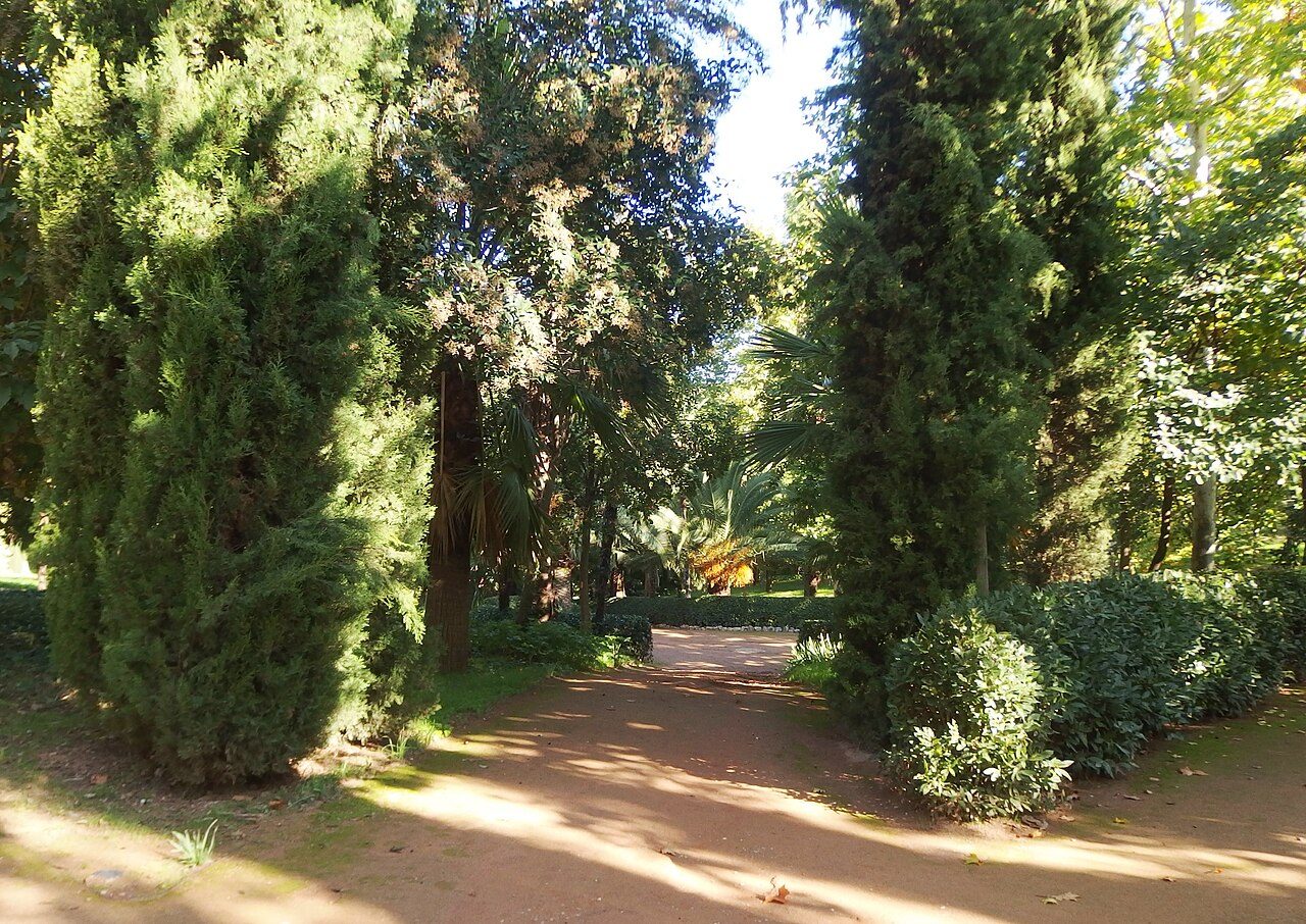 Camino entre cipreses en los jardines del Carmen de los Mártires
